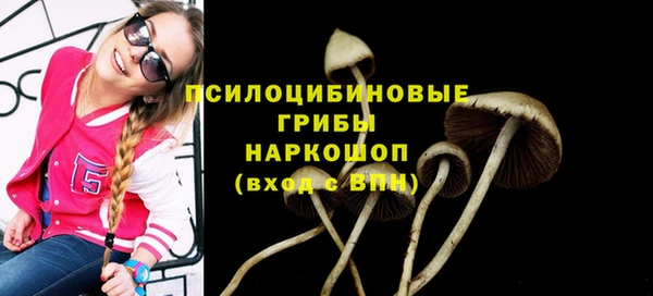 мяу мяу мука Зеленокумск
