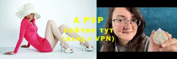 бошки Зерноград