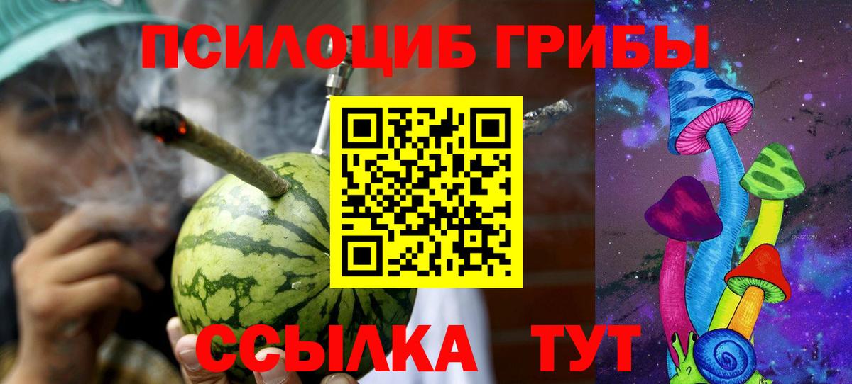 Снежинск  Галлюциногенные грибы GOLDEN TEACHER  где купить наркотик  Вход с VPN  Псилоцибиновые грибы Magic Shrooms 